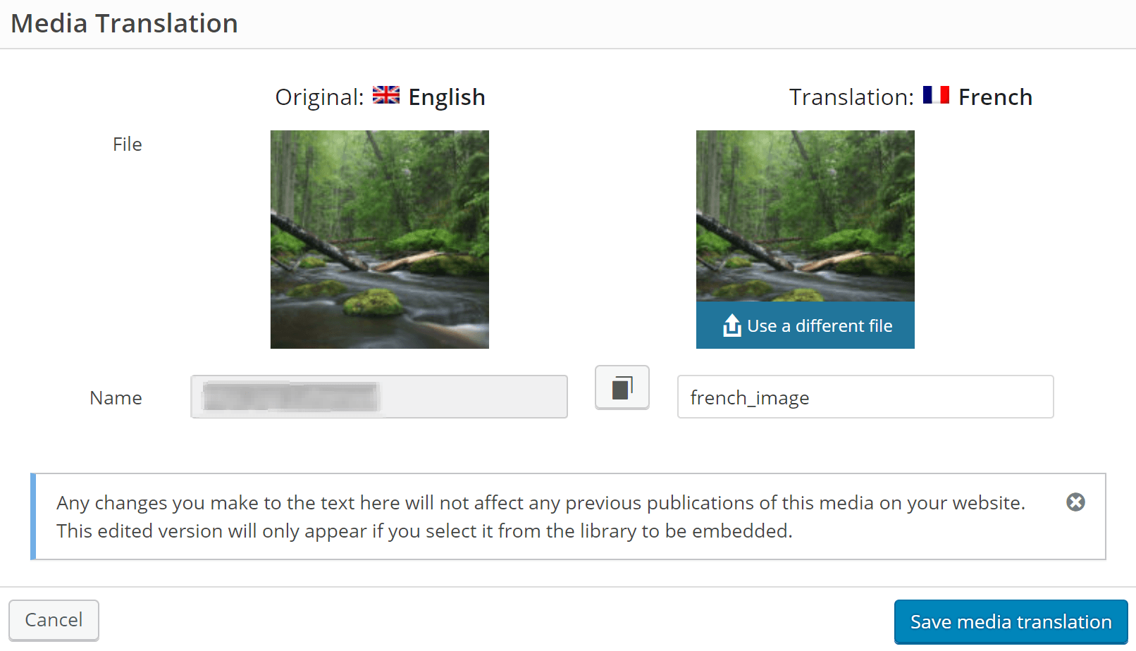 Media translation