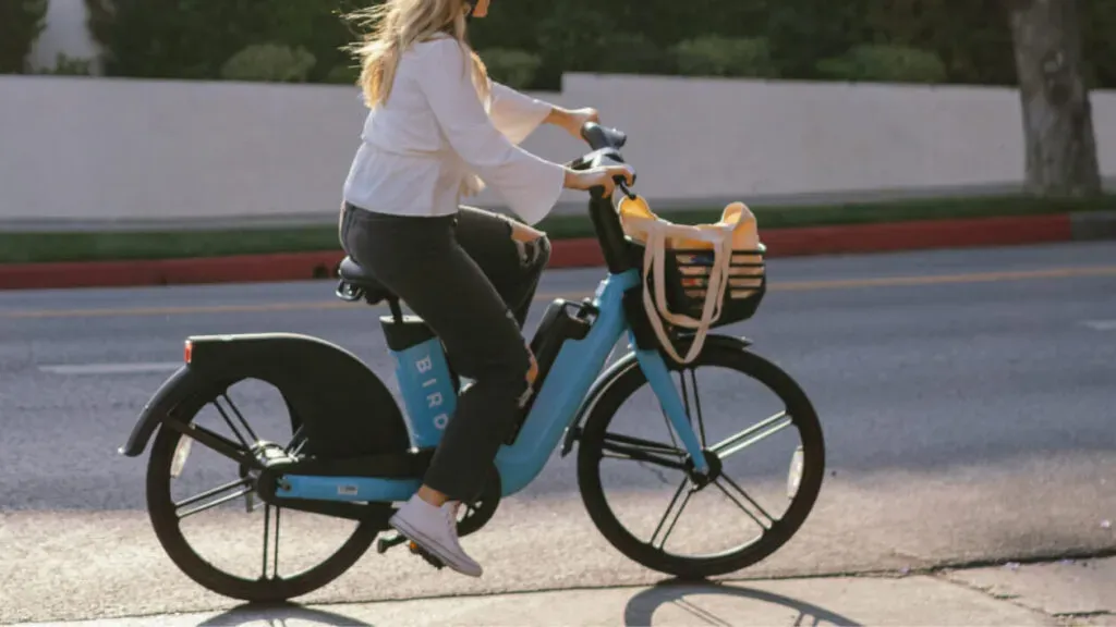Bird smooth rider3.webp