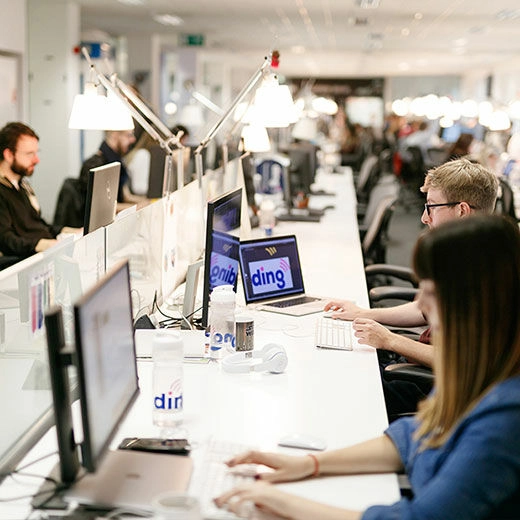 Ding case study preview