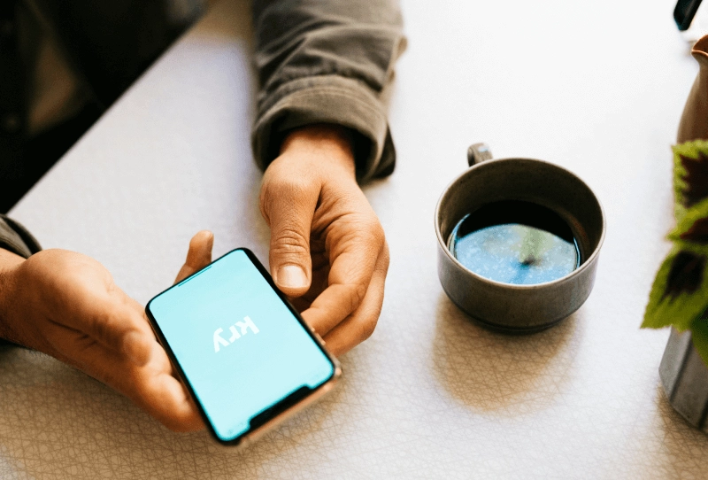 Kry case study preview