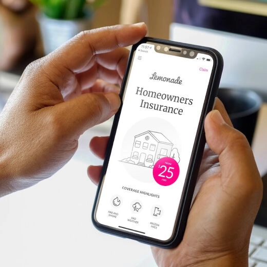 Lemonade case study preview