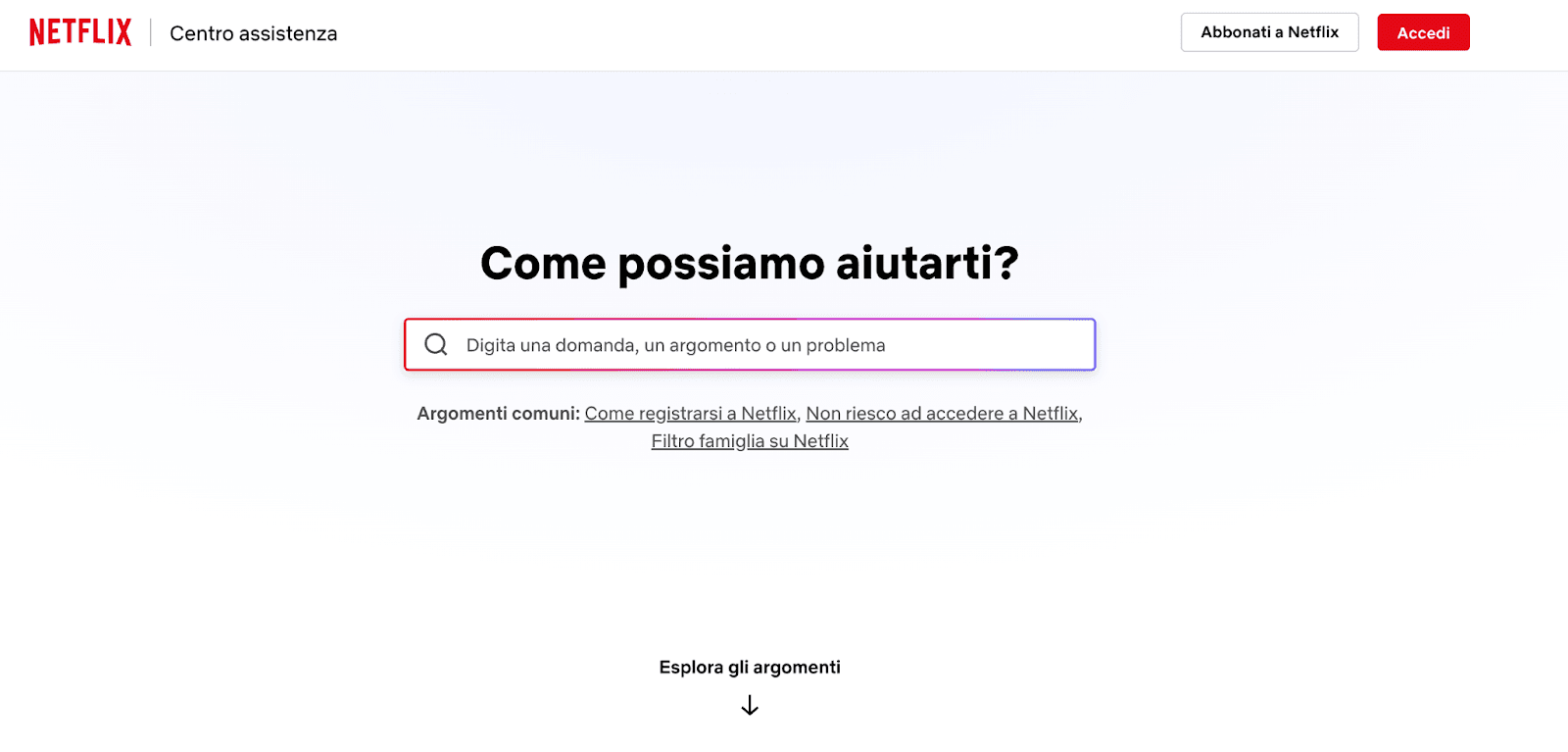 Netflix multilingual support example