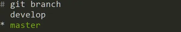 git_branch_output.webp