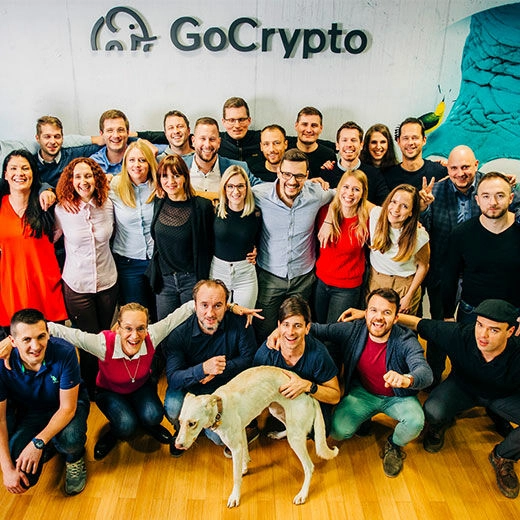 gocrypto case study preview