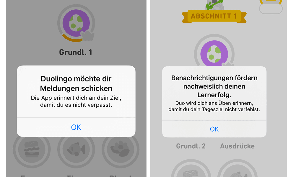 Duolingo German UI localization
